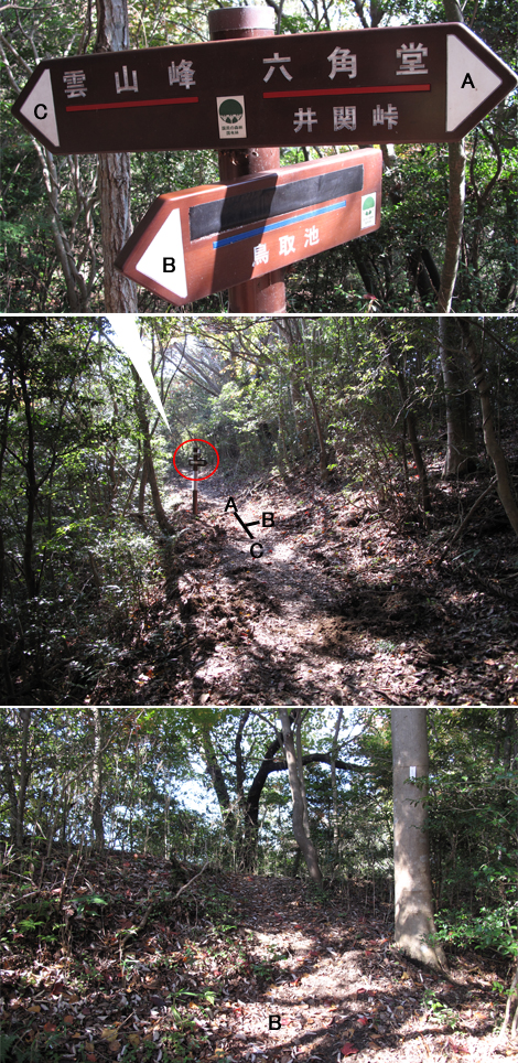 20131116hike (213)